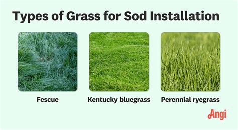 How Much Does Sod Installation Cost in Columbus, OH? | Angi