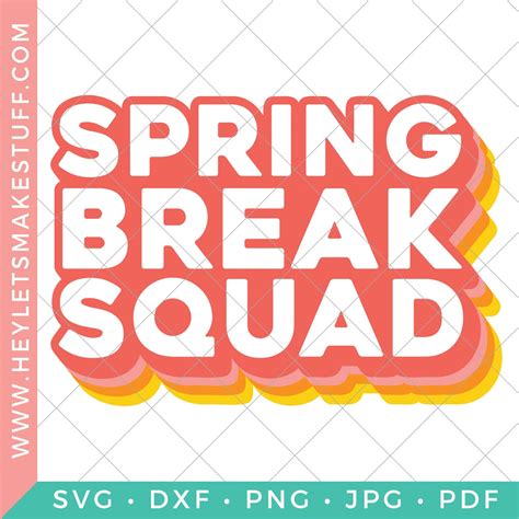 Image result for Spring Break Squad