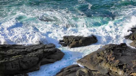 Sea Ocean 的图像结果