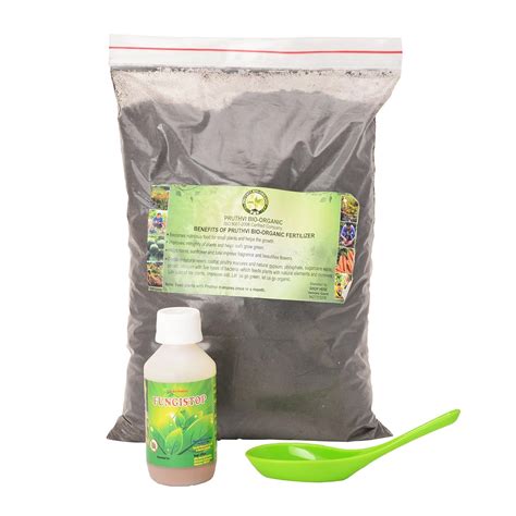 Buy Pruthvi Bio Organic Fertilizer 2kg Contains 14 ingredients + Free ...