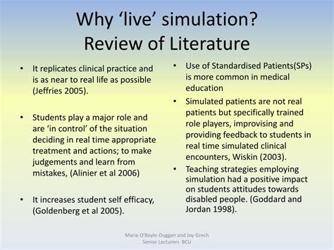 Live Simulation 的图像结果