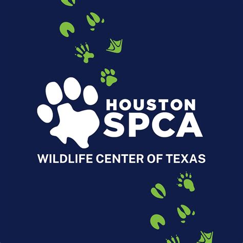 Calendar • Pearland - All Ages: Birds of Prey