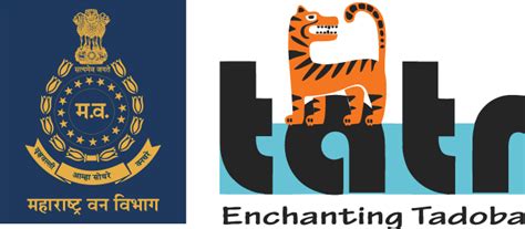 Accommodation Near Tadoba