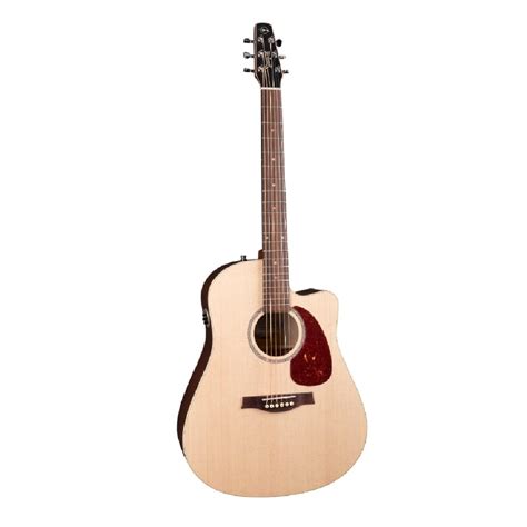Buy Best Premium Acoustic Guitars Online in India | Bajaao