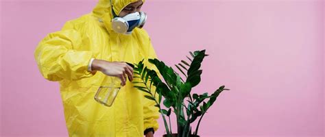 Unveiling the Plant Immune System: Nature's Hidden Defender | Seedly