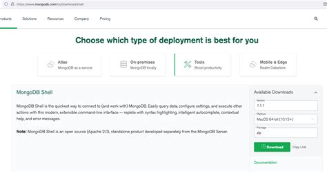 MongoDB Tutorial Mac 的图像结果