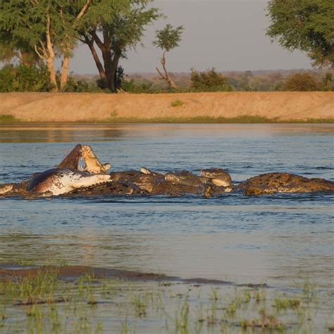 OLD MONDORO (Lower Zambezi National Park) - Campground Reviews & Photos ...