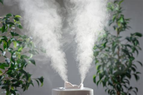 Best Humidifier For Sinus Infections - Sinus Lab