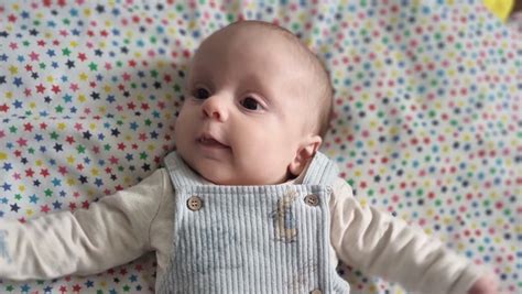 Fundraiser by Angela McKenna : Louis the lion