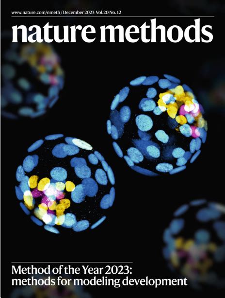 Springer Nature Methods Book 的图像结果