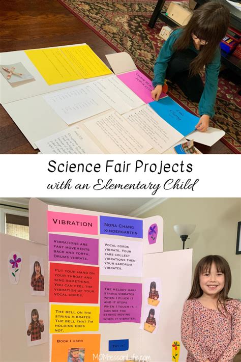 Science Fair Projects 的图像结果