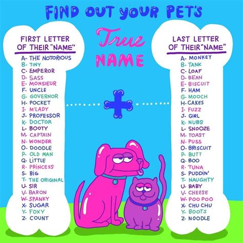 Cute Animal Name Generator