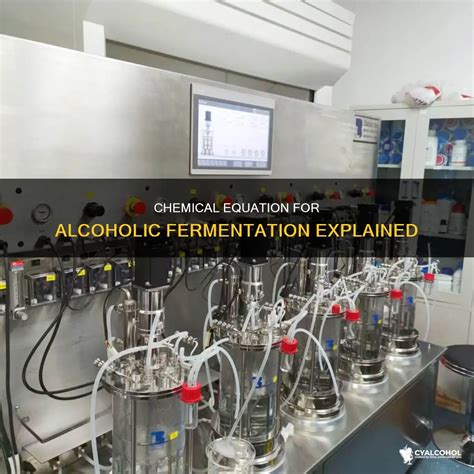 Chemical Equation For Alcoholic Fermentation Explained | CyAlcohol