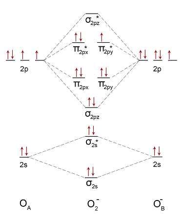 O2 Diagram 的图像结果