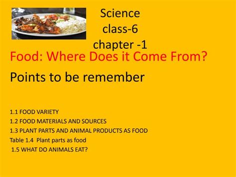 Image result for Class 6 Science Chapter Explain