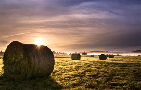 Download wallpaper field, fog, morning, hay, section landscapes in ...