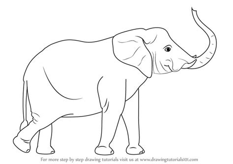 elephant drawing trunk up