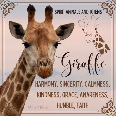 Spirit Animals and Totems in 2025 | Animal totem spirit guides, Spirit ...