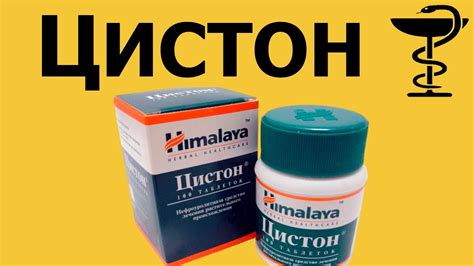 Цистон – инструкция по применению, аналоги, дозы, показания