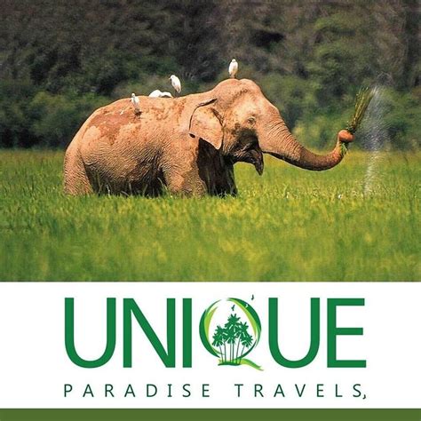 UNIQUE PARADISE TRAVELS (PRIVATE) LIMITED (2026) All You Need to Know ...