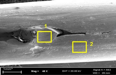 Image result for Defect Detection Sem