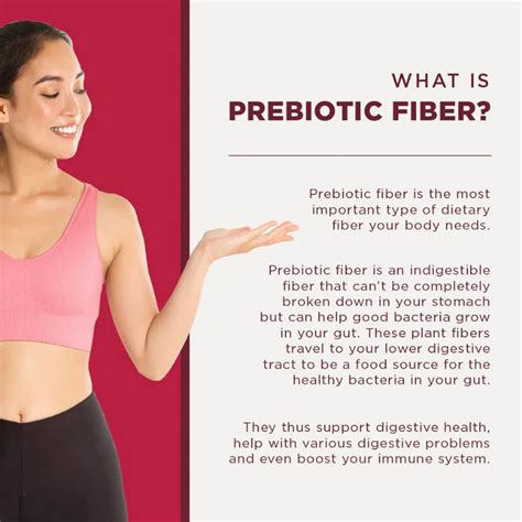 Daily Fiber Supplement in Vanilla Berry Flavor| Wellbeing Nutrition