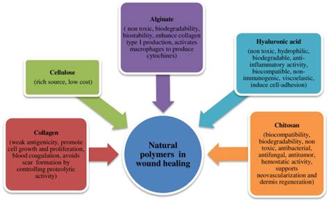 Natural and Synthetic Polymeric Biomaterials for Application in Wound ...