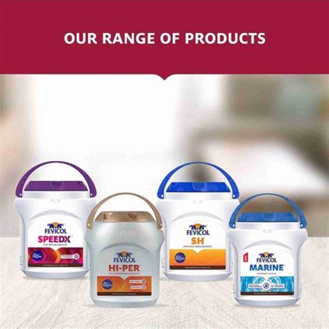 Pidilite Fevicol SH 1kg Synthetic Resin Adhesive Adhesive Price in ...