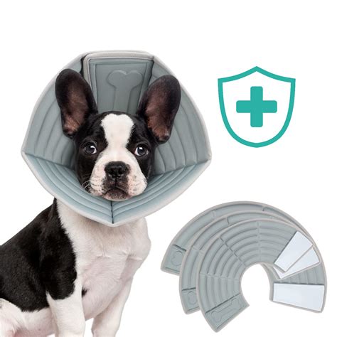 Dog Cone Tips at Darcy Jacalyn blog