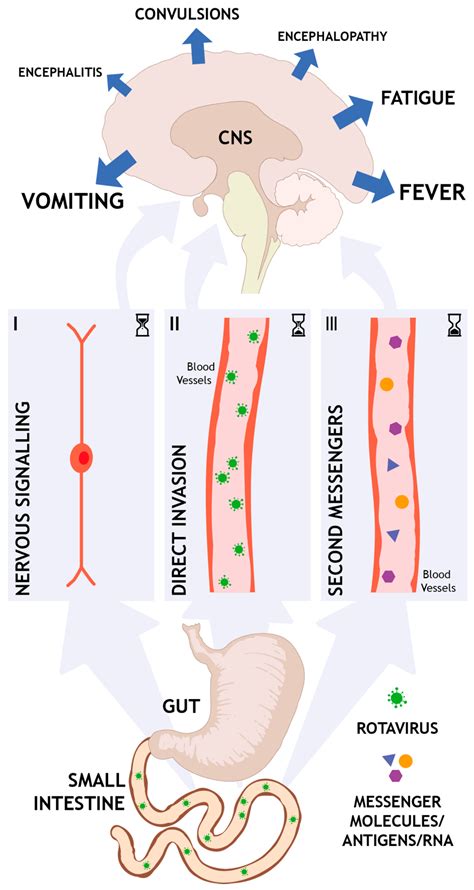 Rotavirus Diarrhea