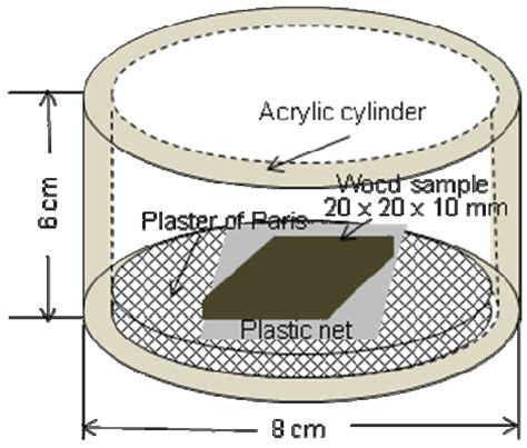 Termite-Susceptible Species of Wood for Inclusion as a Reference in ...