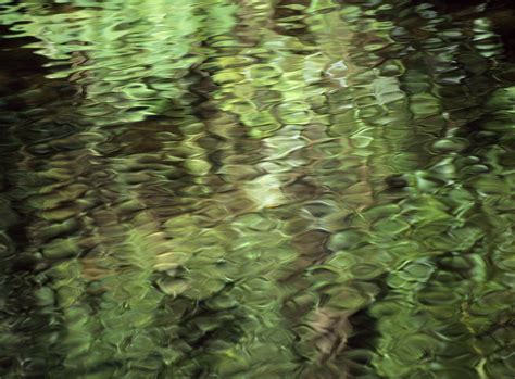 Image result for Patterns in Nature