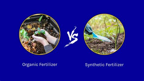 Organic vs. Synthetic Fertilizer: Discover the Pros and Cons of Each ...