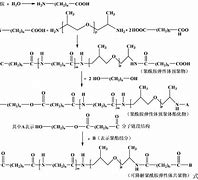 Image result for elastomer 高弹体