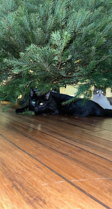 Charlotte G (u/charlottegodoy) - Reddit