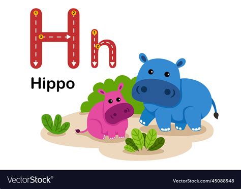 5 Letter Hippo