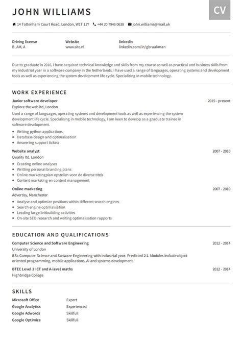 Image result for Good CV Examples