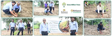 Growing Green Legacies: Reliance Industries Leads the Green Charge ...