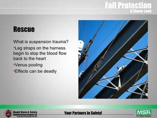 Image result for MSA Fall Protection Test