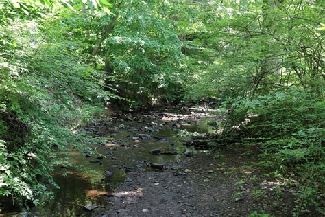 Your Guide to Wadsworth Falls State Park in Middletown CT - The ...