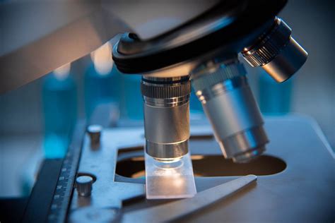 How to Make Microscope Parfocal 的图像结果