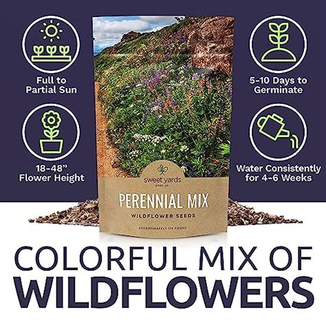Perennial Wildflower Seeds - Bulk 1/4 Pound Bag