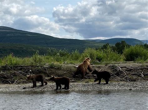 ALASKA SPORTSMAN'S LODGE (Iliamna) - Hotel Reviews & Photos - Tripadvisor