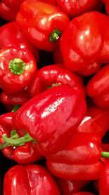 Soya Rice Recipe: How to make Soya Rice Recipe at Home | Homemade Soya ...