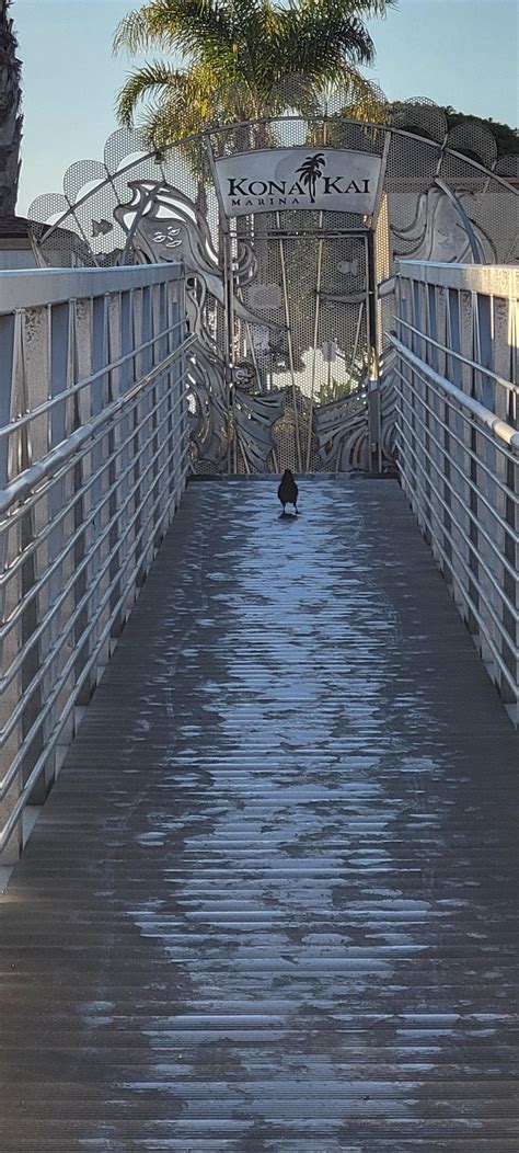 Image result for Thou Shall Not Pass Python