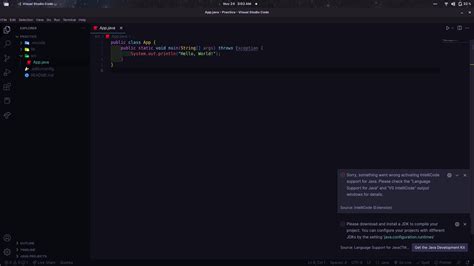 Image result for vs Code Java Problem