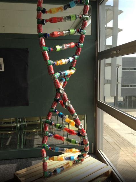 Image result for DNA Simple Homemade Model