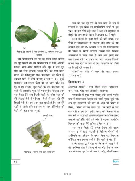 Class 6 Science Chapter 7 Book 的图像结果