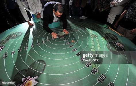 Image result for Frog Jumping Contest