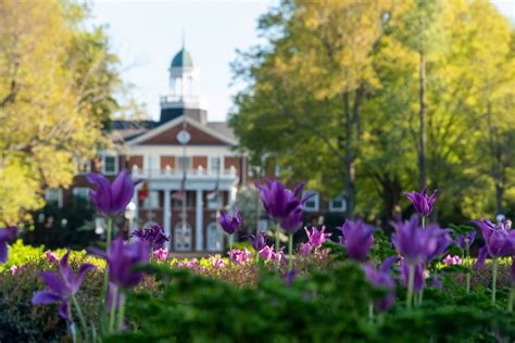 Elon University highlighted in 2022 Sustainable Campus Index | Today at ...